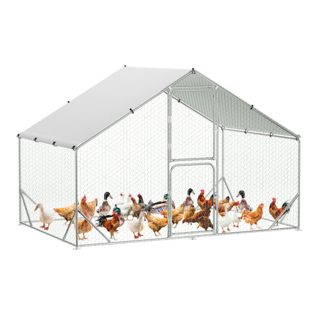 11.95m² Chicken Run