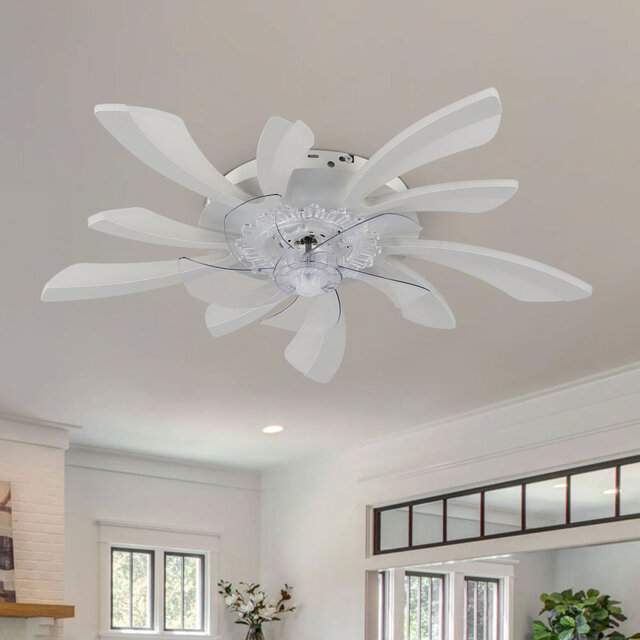 Ceiling Fan With Led Lights