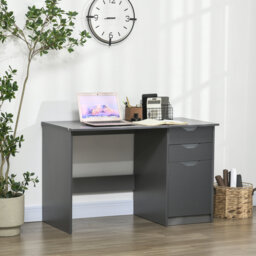 Olivencia Computer Desk