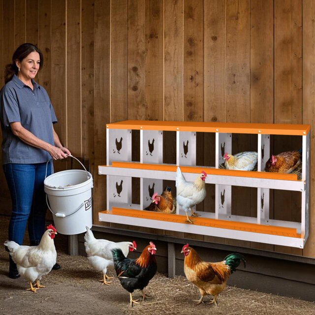 Chicken Coop