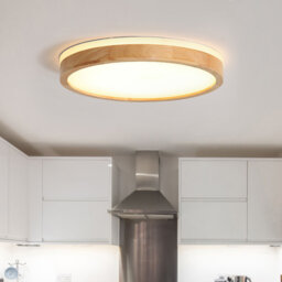 Damiyon 1-Light 30cm Modern Dimmable LED Energy-Saving Ceiling Light Round Flush Mount Lamp