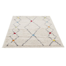Eddy Tribe D Machine Woven Multicolour Rug