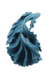 Wall Decor on Resin