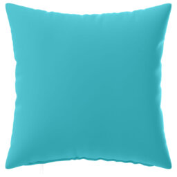 Turquoise Cushion