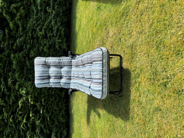 Cersten Steel Outdoor Reclining Garden Chair