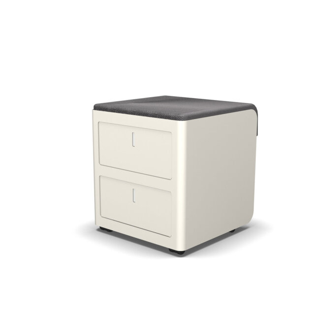 Estep 45cm Wide 2 -Drawer Mobile File Cabinet