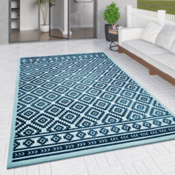 Xander Geometric Hand Woven Indoor / Outdoor Area Rug