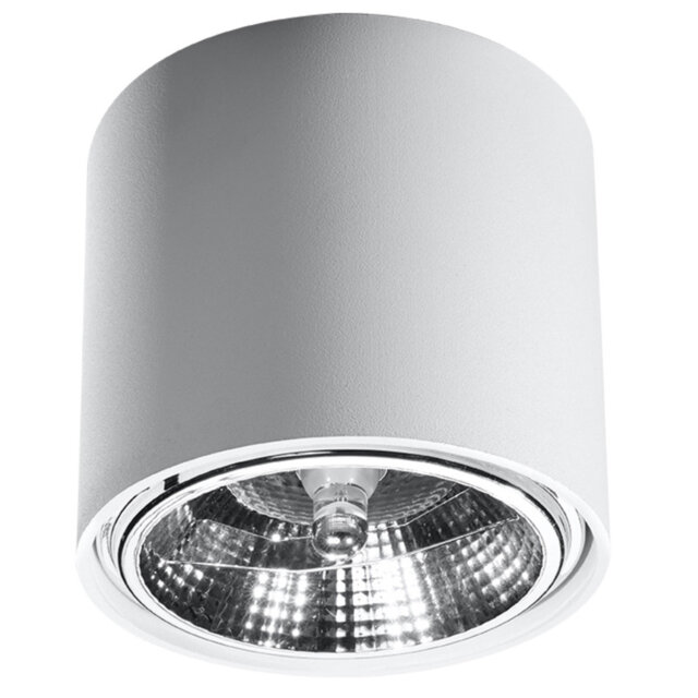 Scotty Flush Mount