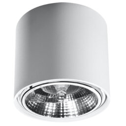 Scotty Flush Mount