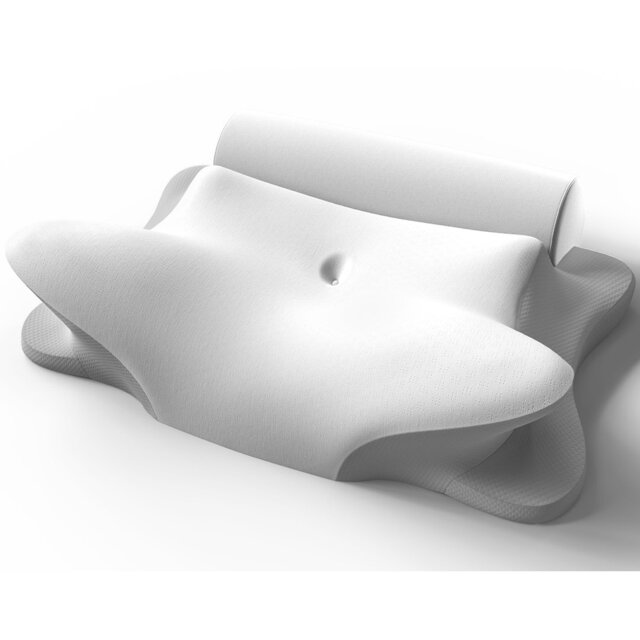 2-in-1 Memory Foam Ergonomic Pillow Set with Medium Support and Removable Bolster