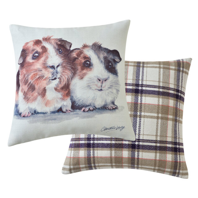 Guinea Pigs Cushion Watercolour And Check Print. 43 X 43Cm