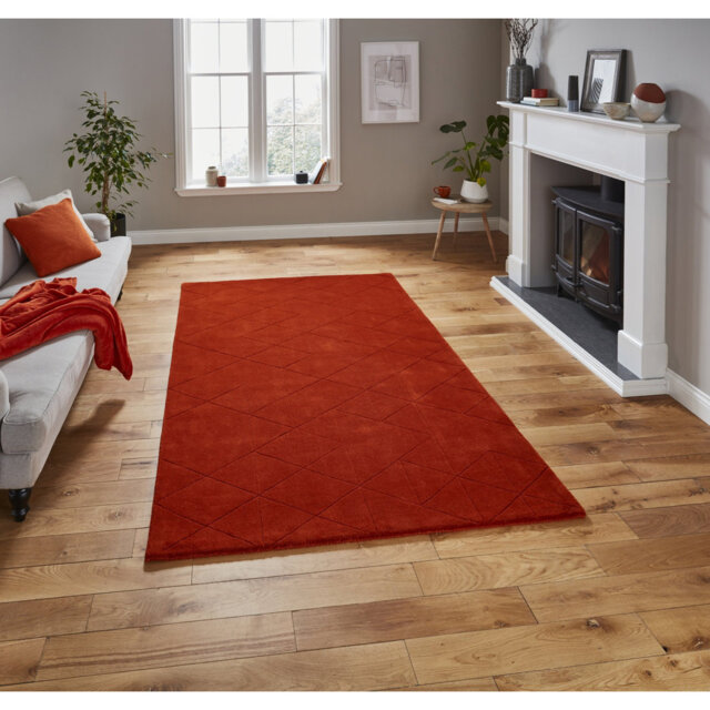 Lachonne area rug Hand Tufted Rectangle Terracotta