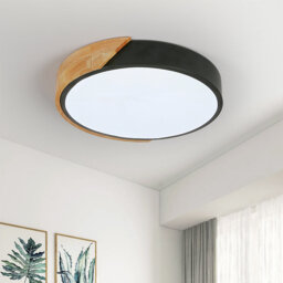Eulane 1-Light 30cm LED Flush Mount Ceiling Light