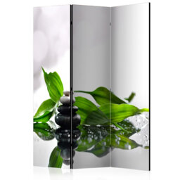 Miramonte Solid Wood Folding Room Divider