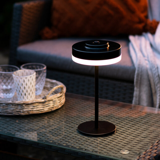 Liana Metal Table Lamp