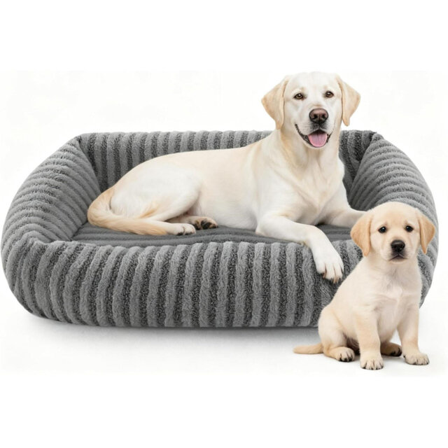 Large Dog Bed-Dog Beds, 20CM High Side Dog Beds Large With Waterproof Detachable Cover, Veterinarian Recommended Bed For Arthritis, 76X61x20cm