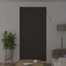 Venetian Blind
