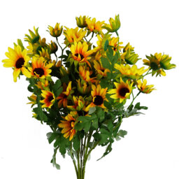 Artificial Arrangement
