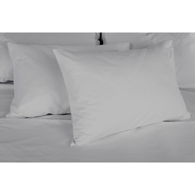 Oslo Dye Plain Cotton Blend Housewife Pillowcase