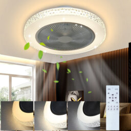 Ceiling Fan with LED Lights