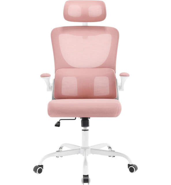 Ergonomic Office Chair, Mesh Desk Chair, Height -adjustable Swivel Chair, Rocking Function, Adjustable Headrest, Lumbar Support, Reversible Armrests,