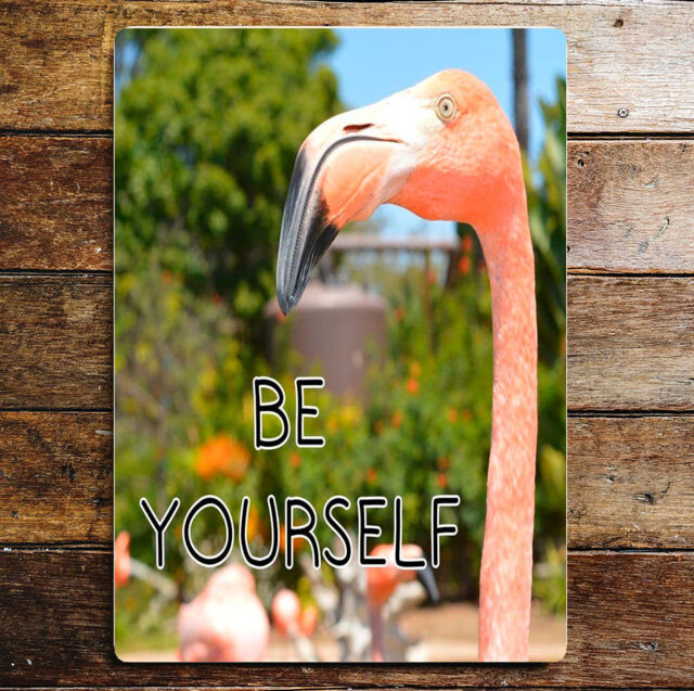Be Yourself Flamingo Metal Humour Wall DÃ©cor