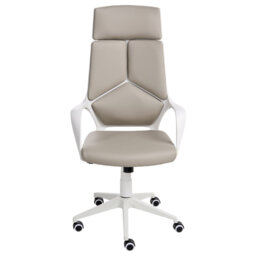 Office Chair with Headrest