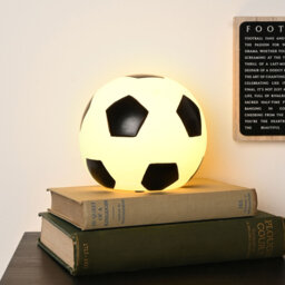 Resin Novelty Lamp