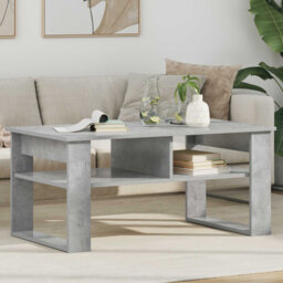 Coffee Table with Storage