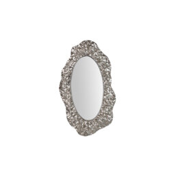 Novelty Mirror