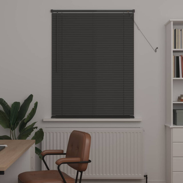 Venetian Blind
