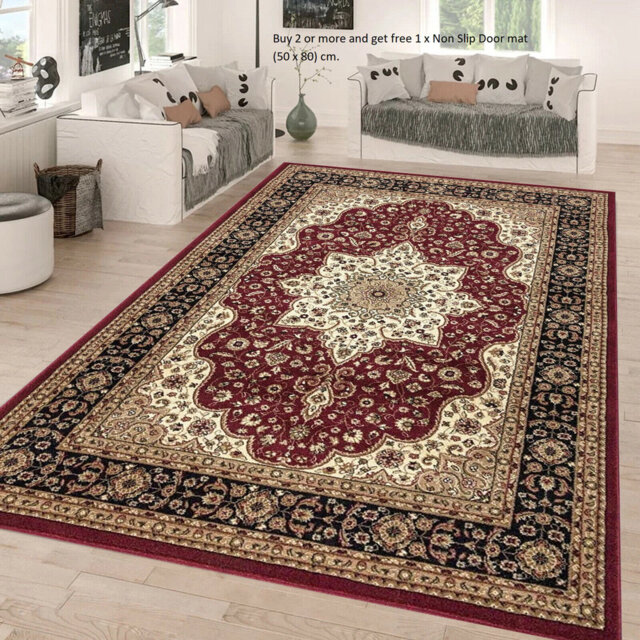 Modern Traditional Floral  Rugs Large Area Rug for Living Room Bedroom Carpet