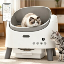 MoraRise Self Cleaning Cat Litter Box, Open-Top Automatic Litter Tray with App Control, Adjustable Entrance Height, 8L Waste Bin