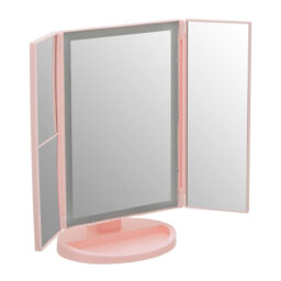 Auben Rectangle Floor Mirror