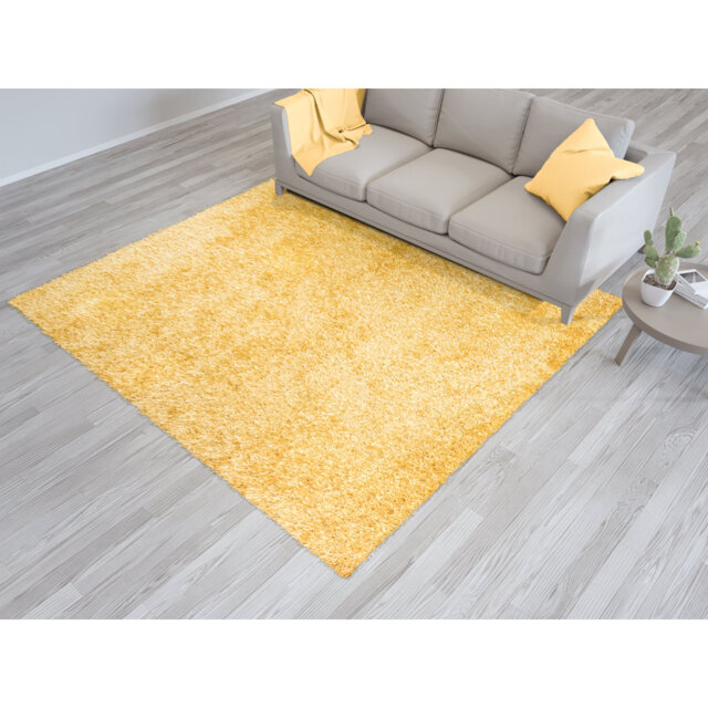 Shaggy Large Area Rug Thick Pile Living Room Bedroom Carpet Soft Floor Mats Non-Shed Kitchen Carpet