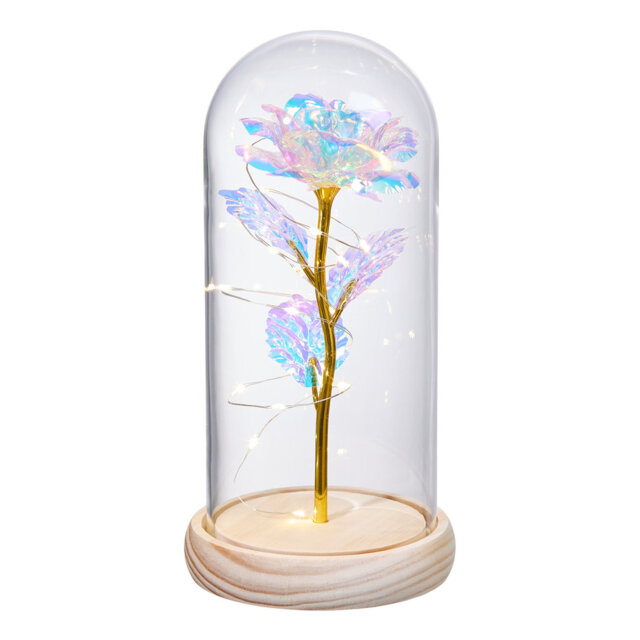 Cloche Or Water Globe