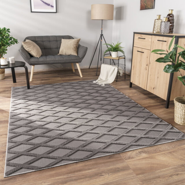 Rug in the living room and bedroom