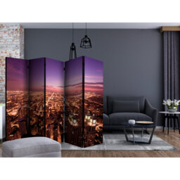 Room Divider - Chicago Panorama II [Room Dividers]