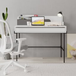 Demileigh Modern Office Desk with Storage Compartments and Metal Legs