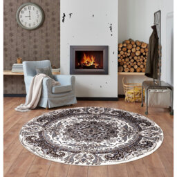 Dagobert Oriental Indoor / Outdoor Area Rug