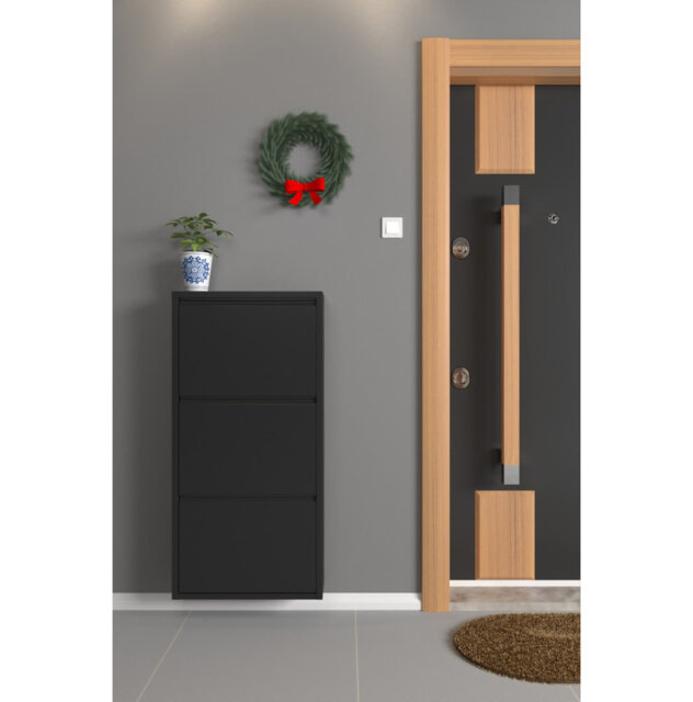 Thara 6 Pair Shoe Storage Metal Cabinet - Tilt-Drawer Wall-Mount Slim Design
