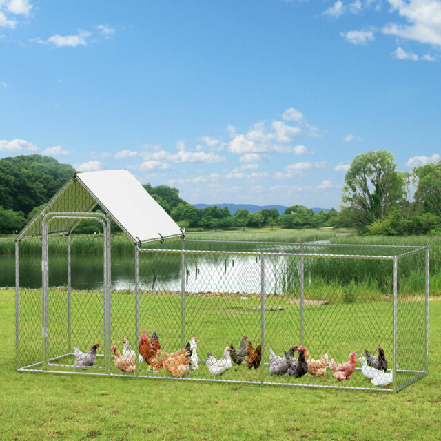 Heavy Duty Walk-In Metal Chicken Coop - Large Outdoor Poultry Cage with Waterproof & UV-Resistant Cover, Secure Lockable Door, Ideal for Ducks, Rabbit