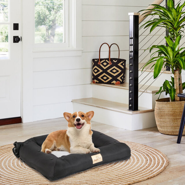 Pet Bed