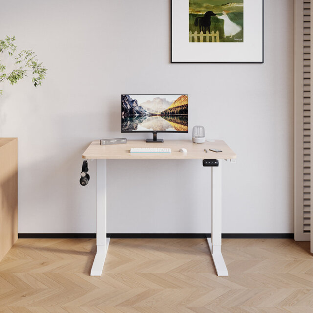 Hieronymus Electric Adjustable T-Shape Standing Desk Home Desk With Backpack Hook And Memory Smart Pannel