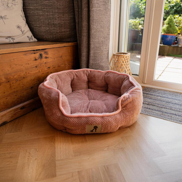 Dog Bed - Warm, Fleece-Lined Machine Washable Dog Bed - Calming With Extra Soft Reversible, Removable Pillow Cushion - Medium, Pink