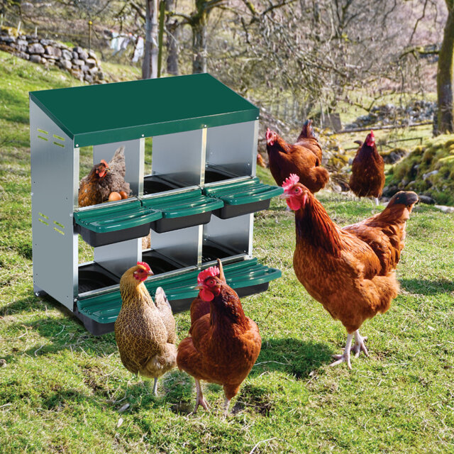 Nesting Boxes For Up To