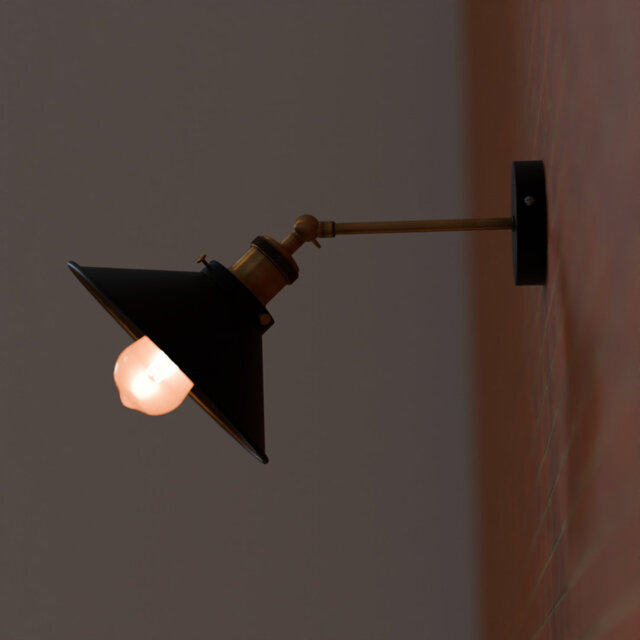 Princeton Armed Sconce