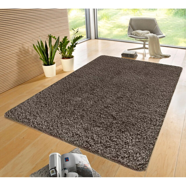 Chalifoux Solid Colour Flatweave Indoor / Outdoor Area Rug