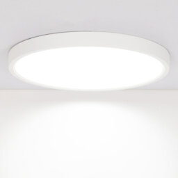 30Cm White Ultra Slim Dimmable LED Flush Mount Ceiling Light With Remote