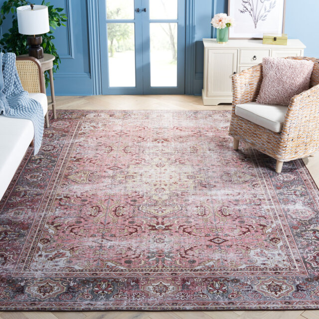 Tucson Vintage Look Machine Washable Non-Slip Area Rug in Red/Pink